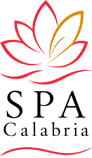 SPA Italia Wellness