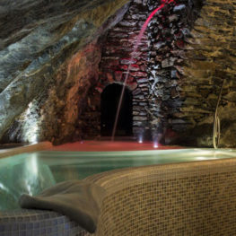 Hotel Ad Gallias