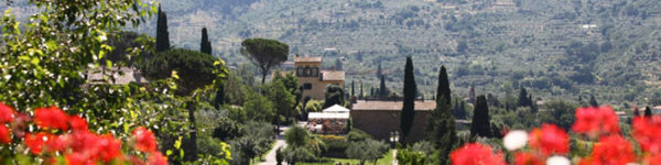 il-falconiere-rose