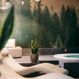 Villa Turco Berti Luxury Apartments & SPA